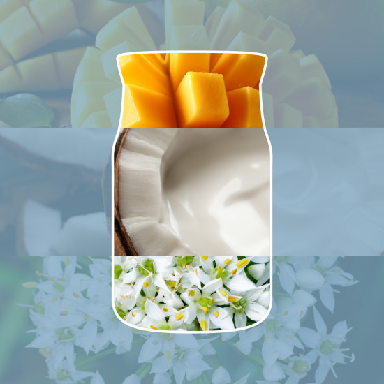 SALTED COCONUT